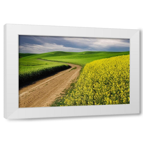 Rural farm road through yellow canola and green wheat crops White Modern Wood Framed Art Print by Jones, Adam