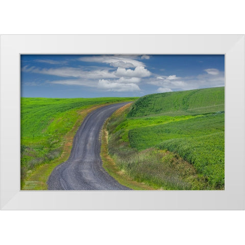 Rural road through rolling wheat fields-Palouse region of eastern Washington State White Modern Wood Framed Art Print by Jones, Adam