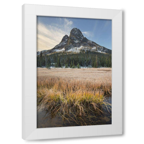 Liberty Bell Mountain and meadows of Washington State Pass North Cascades-Washington State White Modern Wood Framed Art Print by Majchrowicz, Alan