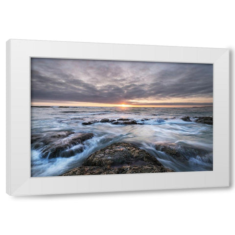 Kalaloch Beach 4 at sunset-Olympic National Park-Washington State White Modern Wood Framed Art Print by Majchrowicz, Alan