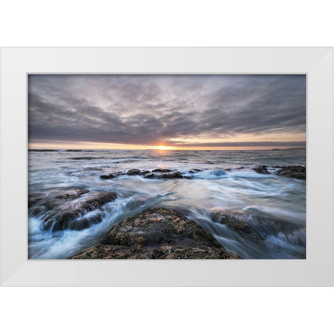 Kalaloch Beach 4 at sunset-Olympic National Park-Washington State White Modern Wood Framed Art Print by Majchrowicz, Alan