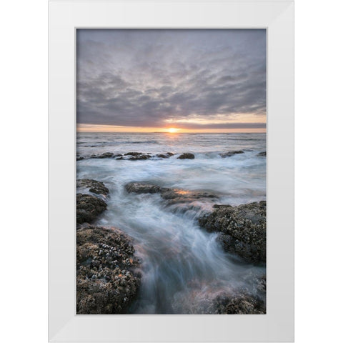 Kalaloch Beach 4 at sunset-Olympic National Park-Washington State White Modern Wood Framed Art Print by Majchrowicz, Alan