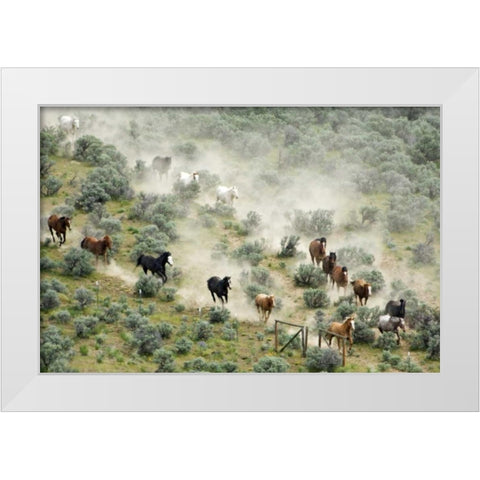 WA, Malaga, Horses form V shape during roundup White Modern Wood Framed Art Print by Kirkland, Dennis