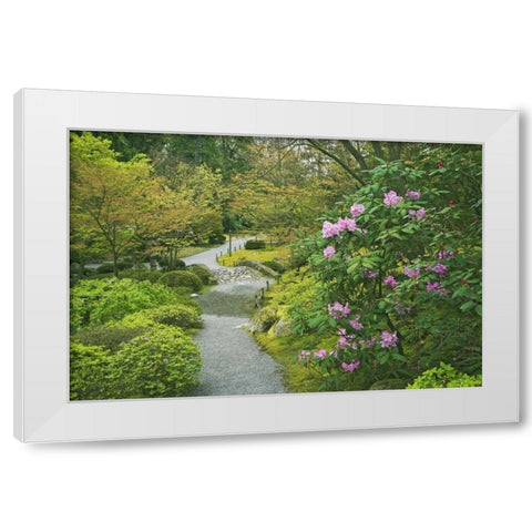 Washington, Seattle Path through a garden park White Modern Wood Framed Art Print by Flaherty, Dennis