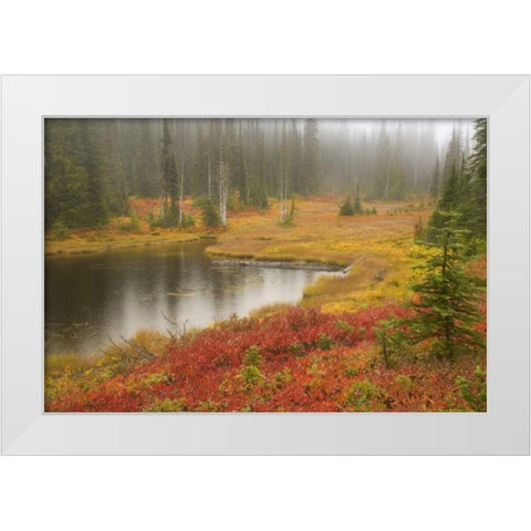 WA, Mount Rainier NP Fall-colored meadow White Modern Wood Framed Art Print by Paulson, Don