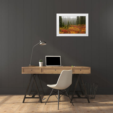 WA, Mount Rainier NP Path through autumn meadow White Modern Wood Framed Art Print by Paulson, Don