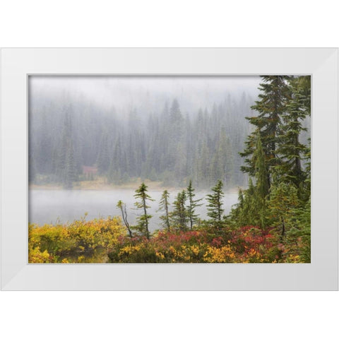 WA, Mount Rainier NP Trees and lake in mist White Modern Wood Framed Art Print by Paulson, Don