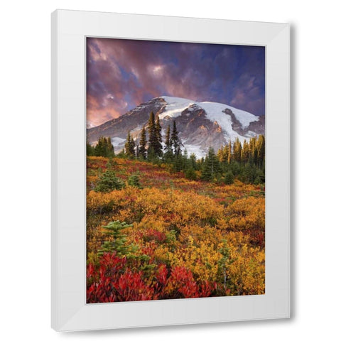 Washington Sunset over Mount Rainier and valley White Modern Wood Framed Art Print by Paulson, Don