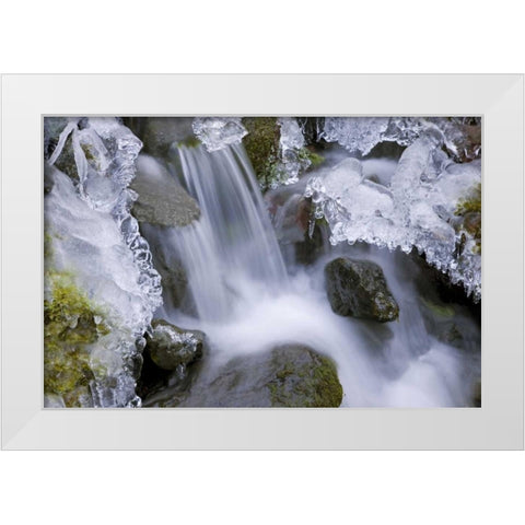 Washington, Olympic NP Icy winter waterfall White Modern Wood Framed Art Print by Paulson, Don