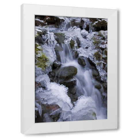 Washington, Olympic NP Icy winter waterfall White Modern Wood Framed Art Print by Paulson, Don