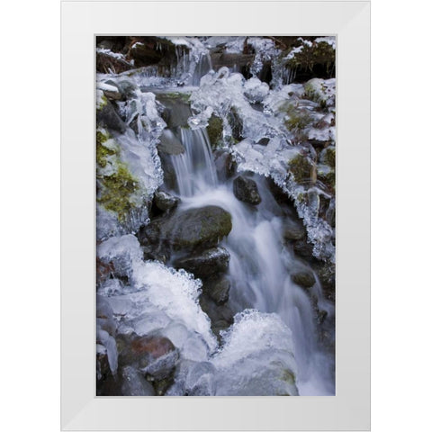 Washington, Olympic NP Icy winter waterfall White Modern Wood Framed Art Print by Paulson, Don