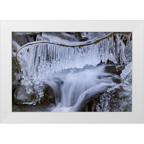 Washington, Olympic NP Icy winter waterfall White Modern Wood Framed Art Print by Paulson, Don