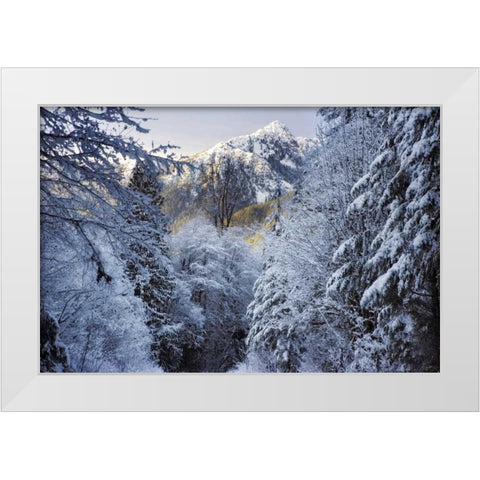 WA, Olympic NP Winter Hamma Hamma River Valley White Modern Wood Framed Art Print by Paulson, Don