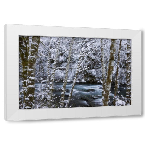 USA, WA, Olympic NP Winter Hamma Hamma River White Modern Wood Framed Art Print by Paulson, Don