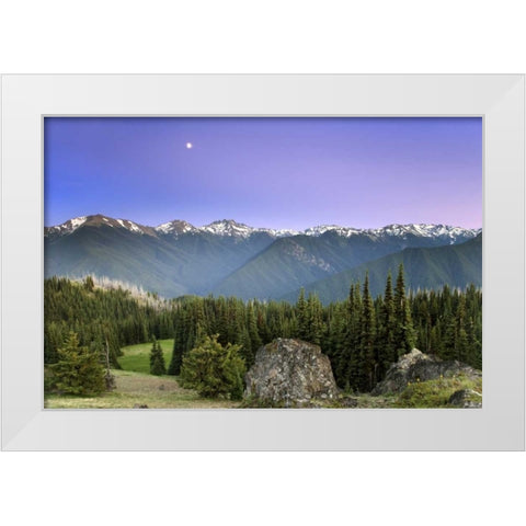 WA, Olympic NP Moonrise viewed from Deer Park White Modern Wood Framed Art Print by Paulson, Don