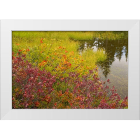 WA, Mt Baker Wilderness, Autumn at Picture Lake White Modern Wood Framed Art Print by Paulson, Don