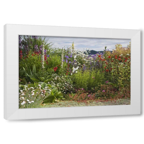 WA, Poulsbo Perennial garden with flower White Modern Wood Framed Art Print by Paulson, Don