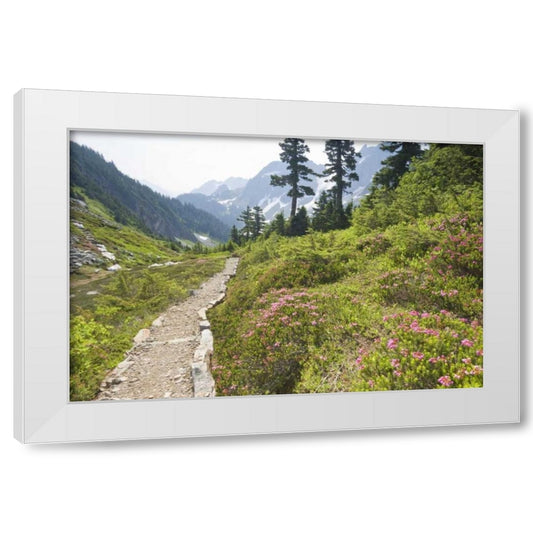 Perspective Image