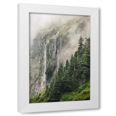 WA, North Cascades NP, Waterfall and fog White Modern Wood Framed Art Print by Paulson, Don