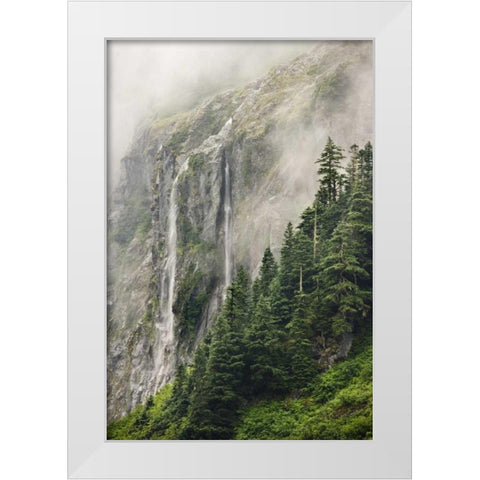WA, North Cascades NP, Waterfall and fog White Modern Wood Framed Art Print by Paulson, Don