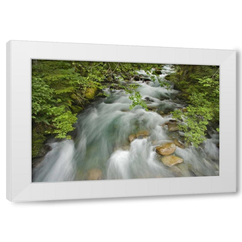 WA, North Cascades Water rushes in Cascade River White Modern Wood Framed Art Print by Paulson, Don