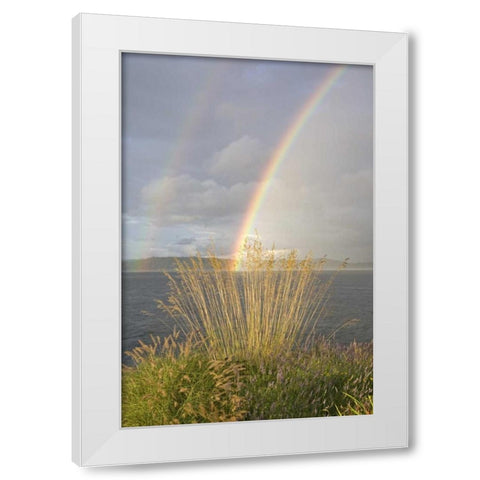 WA, Seabeck Double rainbow over the Hood Canal White Modern Wood Framed Art Print by Paulson, Don