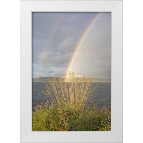 WA, Seabeck Double rainbow over the Hood Canal White Modern Wood Framed Art Print by Paulson, Don