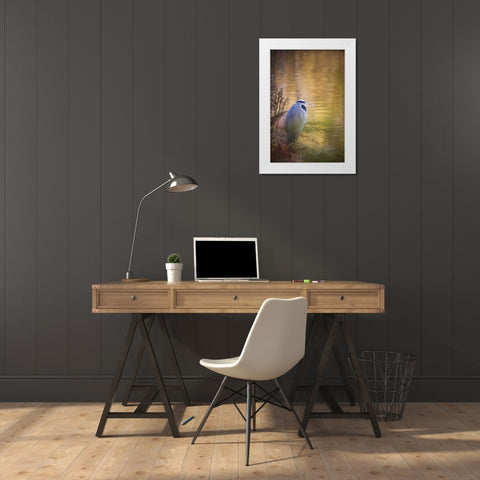 WA, Seabeck Great blue heron at edge of pond White Modern Wood Framed Art Print by Paulson, Don