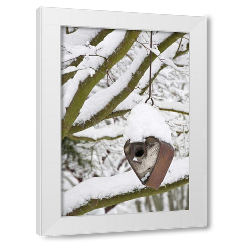 WA, Seabeck Heart-shaped bird house in snow White Modern Wood Framed Art Print by Paulson, Don