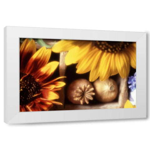 USA, Washington, Bellingham White Modern Wood Framed Art Print by Satushek, Steve