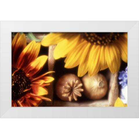 USA, Washington, Bellingham White Modern Wood Framed Art Print by Satushek, Steve