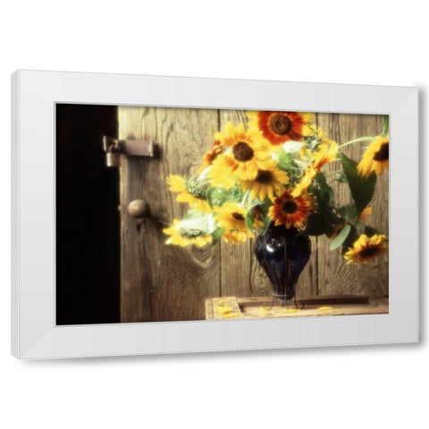 USA, Washington, Bellingham White Modern Wood Framed Art Print by Satushek, Steve