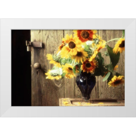 USA, Washington, Bellingham White Modern Wood Framed Art Print by Satushek, Steve