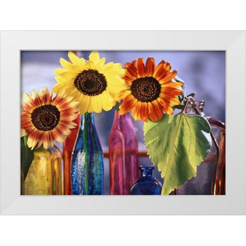 USA, Washington, Bellingham White Modern Wood Framed Art Print by Satushek, Steve