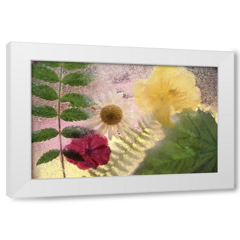 USA, Washington, Bellingham White Modern Wood Framed Art Print by Satushek, Steve