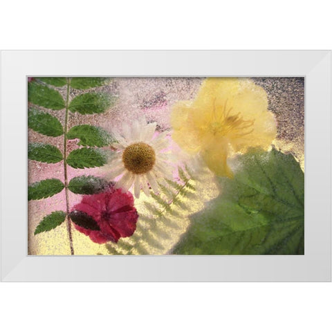 USA, Washington, Bellingham White Modern Wood Framed Art Print by Satushek, Steve