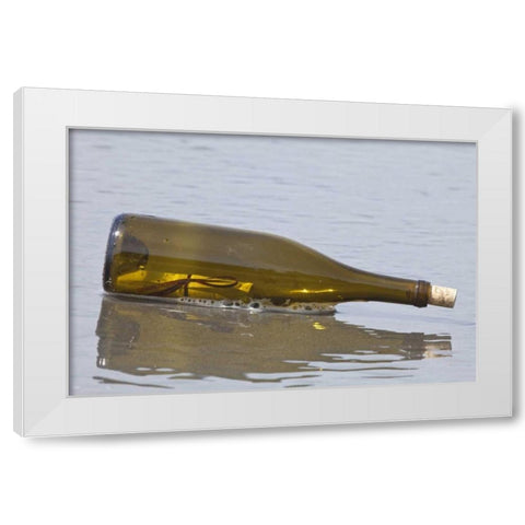 WA, Olympic NP Message in a bottle on shore White Modern Wood Framed Art Print by Paulson, Don
