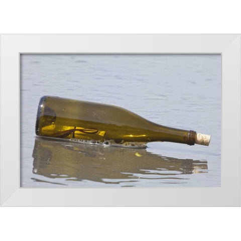 WA, Olympic NP Message in a bottle on shore White Modern Wood Framed Art Print by Paulson, Don