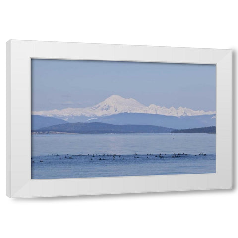 WA, San Juans Mt Baker seen from the San Juans White Modern Wood Framed Art Print by Paulson, Don