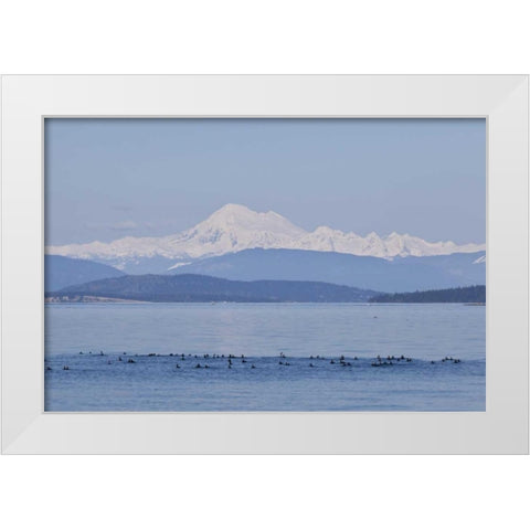 WA, San Juans Mt Baker seen from the San Juans White Modern Wood Framed Art Print by Paulson, Don