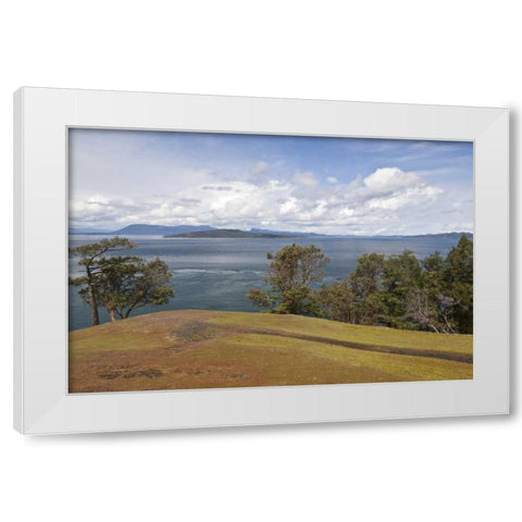 WA, San Juans Scenic overlook on Stuart Island White Modern Wood Framed Art Print by Paulson, Don