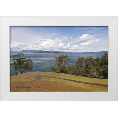 WA, San Juans Scenic overlook on Stuart Island White Modern Wood Framed Art Print by Paulson, Don