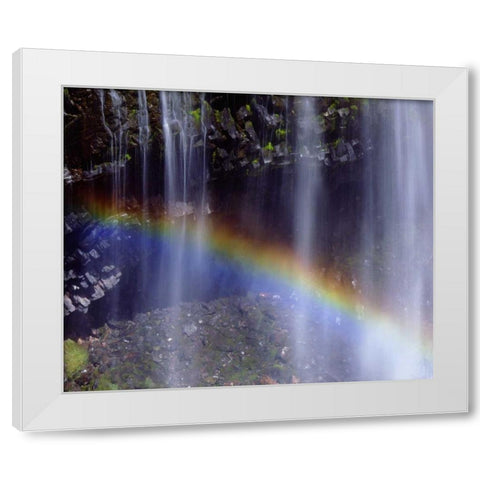 WA, Mount Rainer NP Rainbow at a waterfall White Modern Wood Framed Art Print by Talbot Frank, Christopher