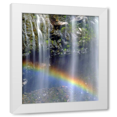 WA, Mount Rainer NP Rainbow at a waterfall White Modern Wood Framed Art Print by Talbot Frank, Christopher