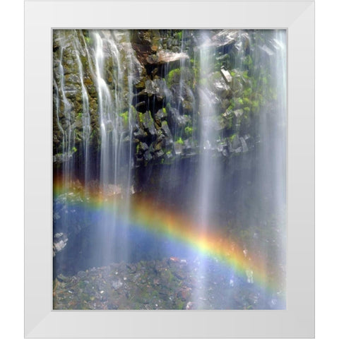 WA, Mount Rainer NP Rainbow at a waterfall White Modern Wood Framed Art Print by Talbot Frank, Christopher