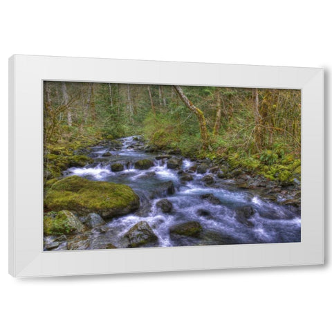 WA, Rocky Brook Falls Stream cascades over rocks White Modern Wood Framed Art Print by Shimlock, Jones