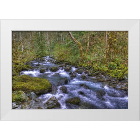 WA, Rocky Brook Falls Stream cascades over rocks White Modern Wood Framed Art Print by Shimlock, Jones