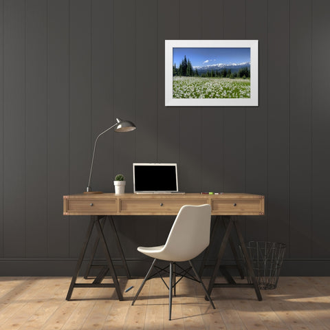 WA, Olympia NP High-altitude lilies in bloom White Modern Wood Framed Art Print by Shimlock, Jones