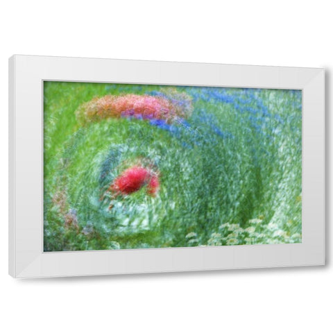 WA, Whidbey Isl Montage of flowers and greenery White Modern Wood Framed Art Print by Bush, Marie