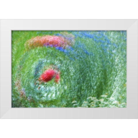 WA, Whidbey Isl Montage of flowers and greenery White Modern Wood Framed Art Print by Bush, Marie